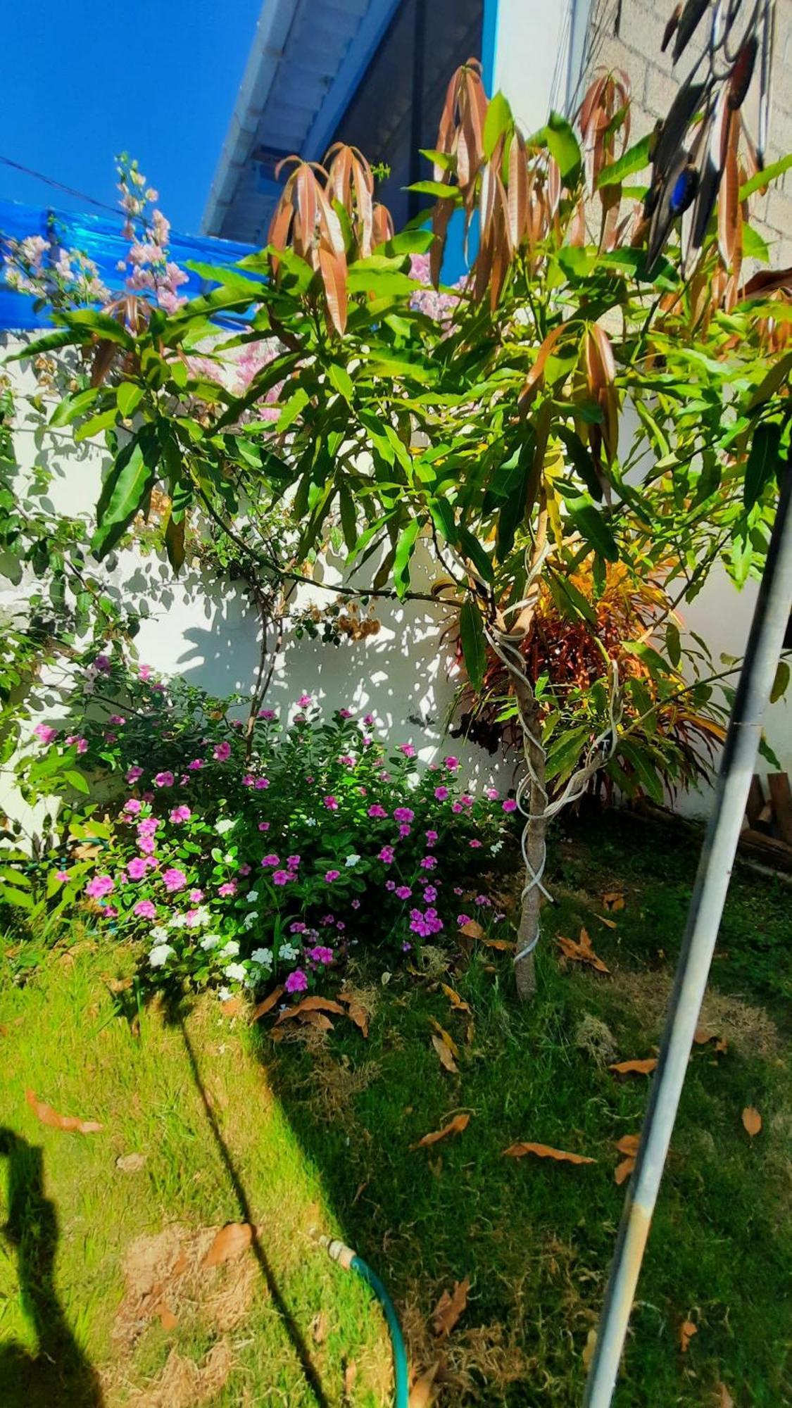 Apartamento Alma de cedrela Puerto Ayora  Exterior foto