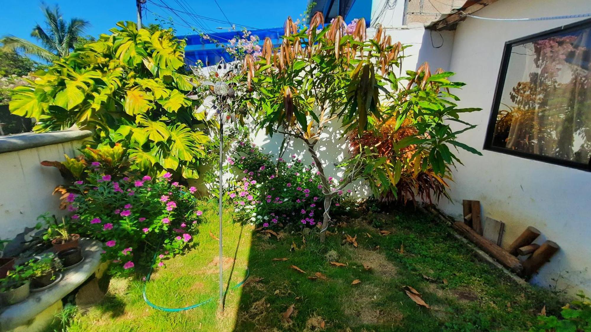 Apartamento Alma de cedrela Puerto Ayora  Exterior foto