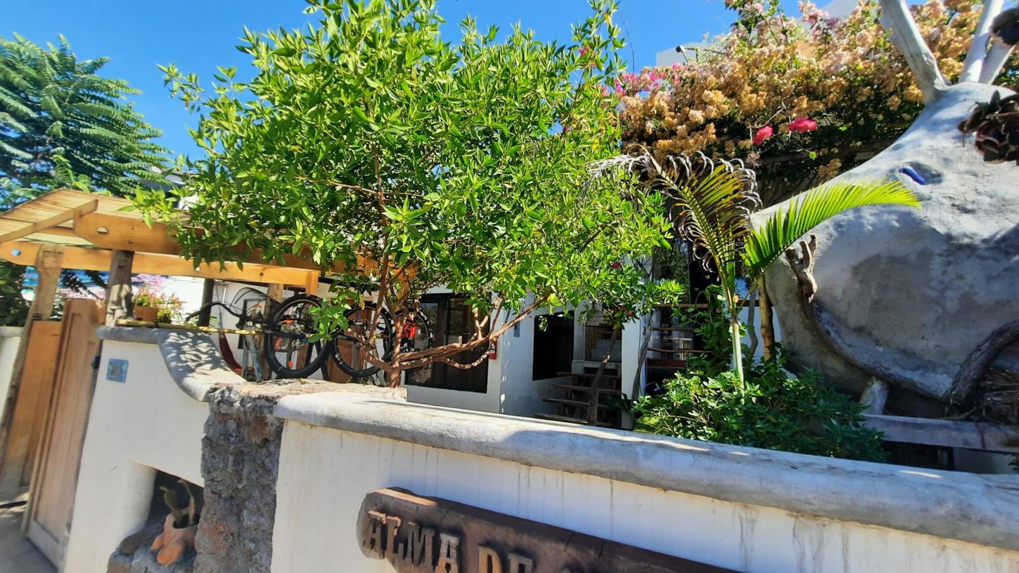 Apartamento Alma de cedrela Puerto Ayora  Exterior foto